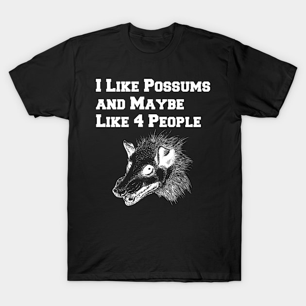 I Like Possums And Maybe Like 4 People, Funny Opossum T-Shirt by lightbulbmcoc